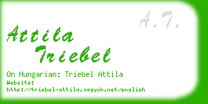 attila triebel business card